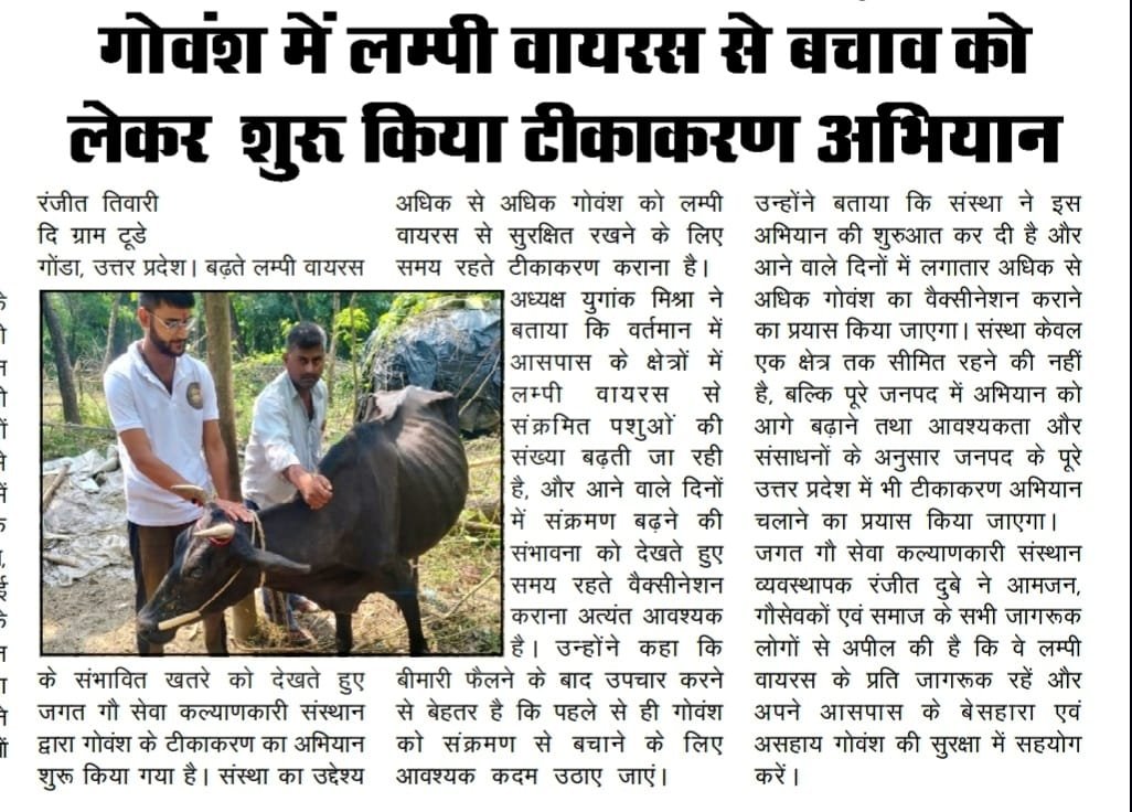 Newspaper clipping 5