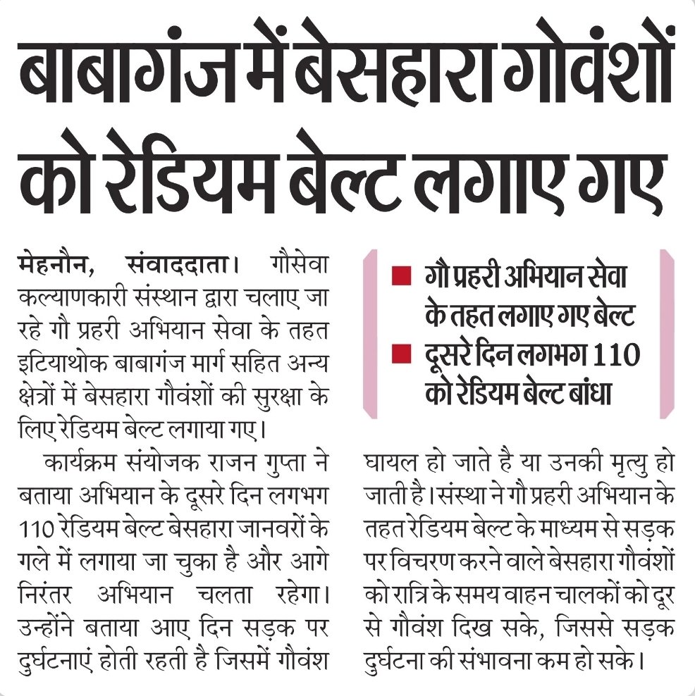 Newspaper clipping 7